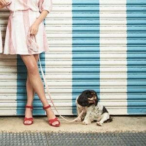 NWT Katie Sturino x Stitch Fix Donna Embroidered Mini Skirt Sz. M